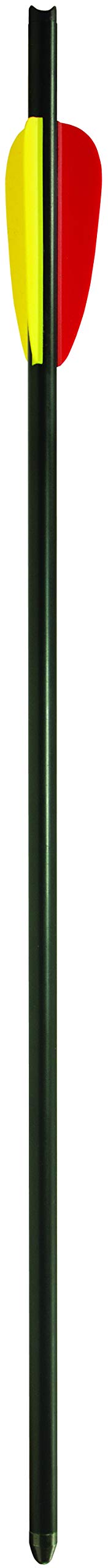 Daisy Youth Archery Target Bolts, 16"